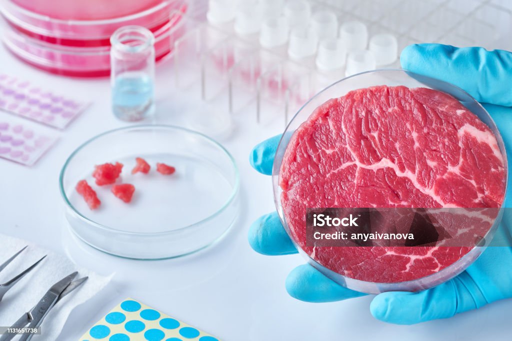 Lab-Grown Meat: Tomorrow’s Sustainable Protein or Just a Trendy Superfood?